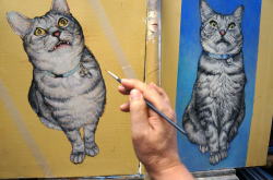 GONTAN愛猫肖像画