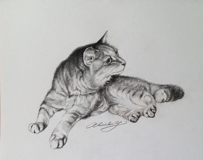 我が家の愛猫クーニャン
